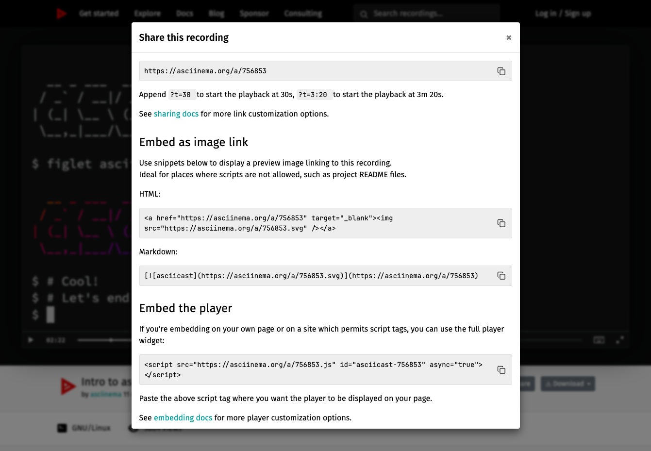 asciinema Server