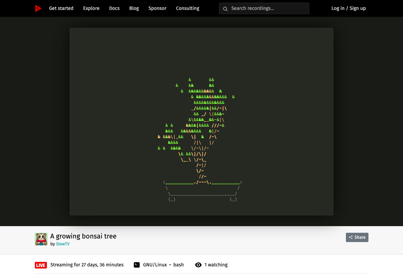 asciinema Server
