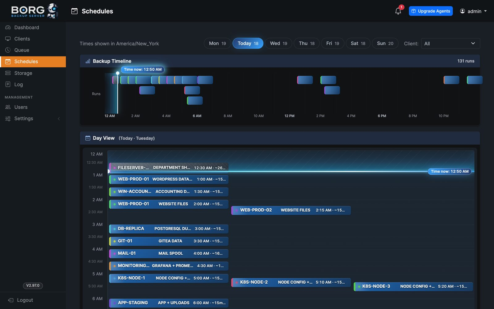 Borg Backup Server