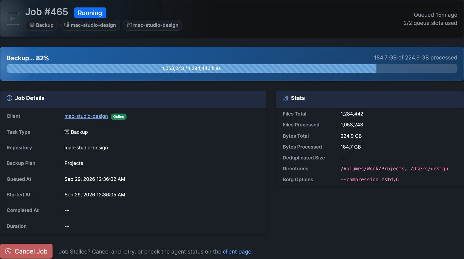 Borg Backup Server