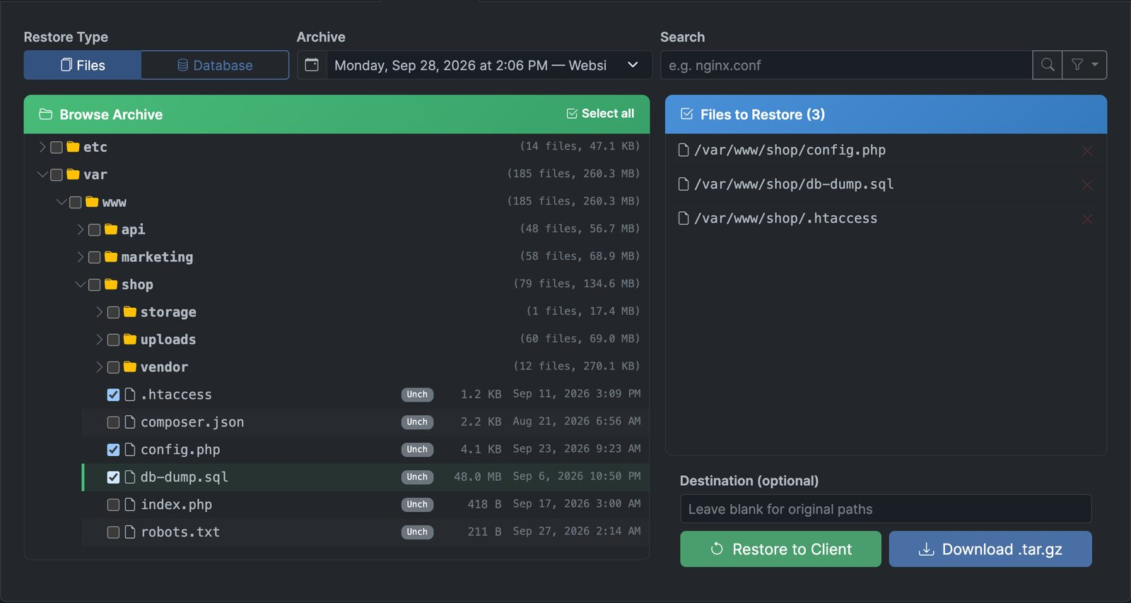 Borg Backup Server