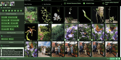 Damselfly screenshot thumbnail