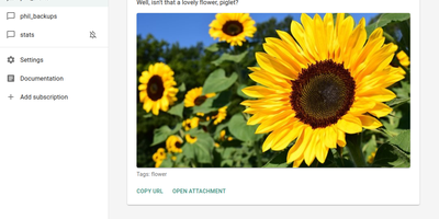 Ntfy screenshot thumbnail