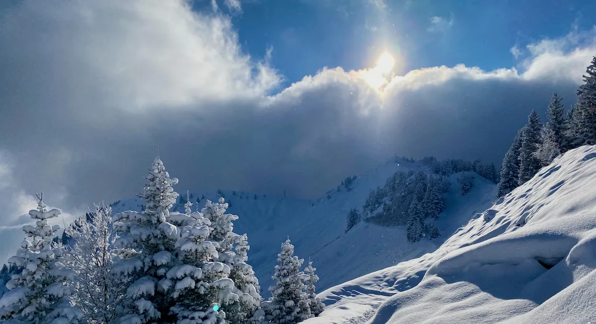 Open-Meteo