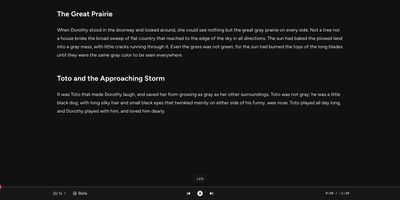 OpenReader screenshot thumbnail