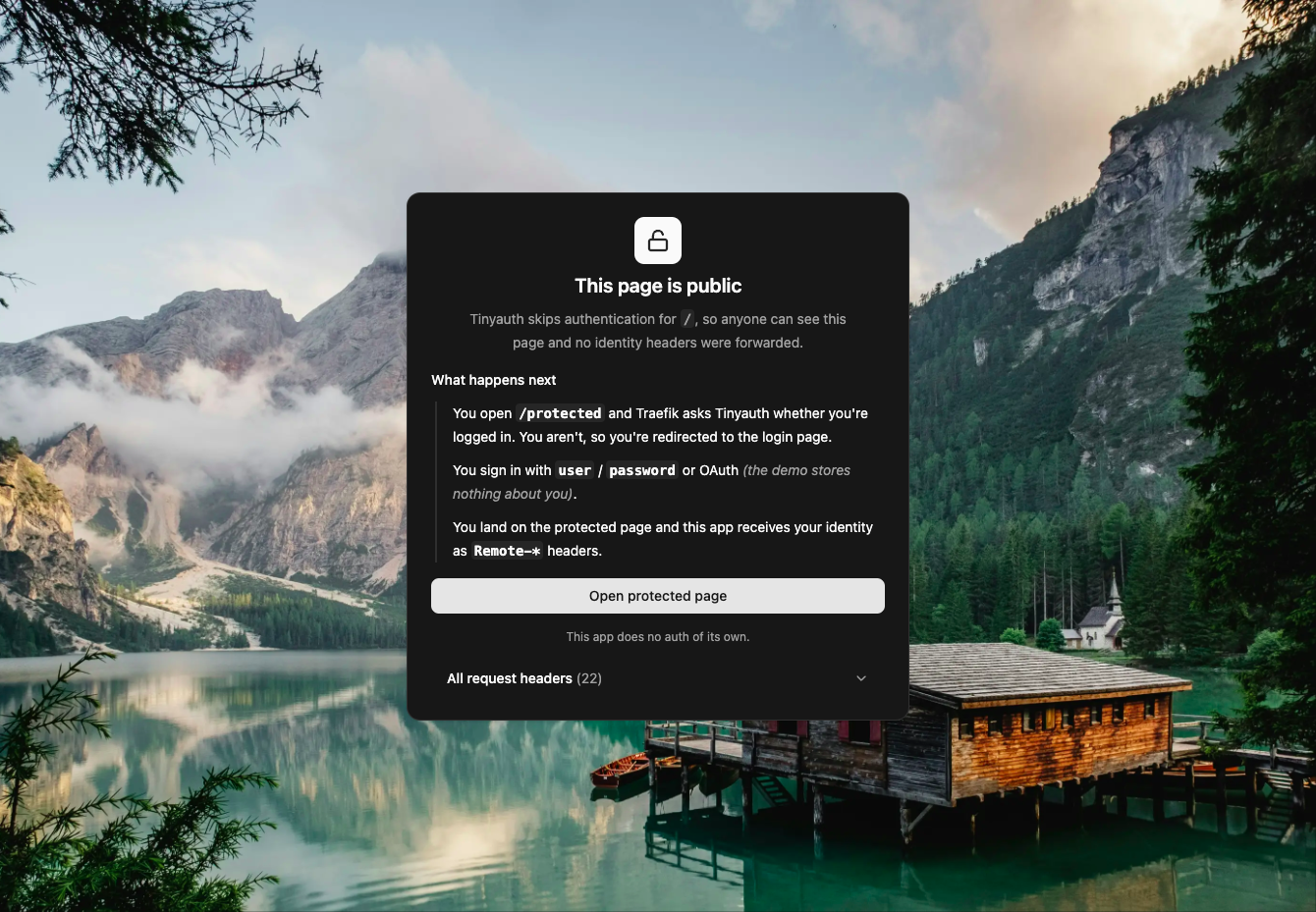 Tinyauth