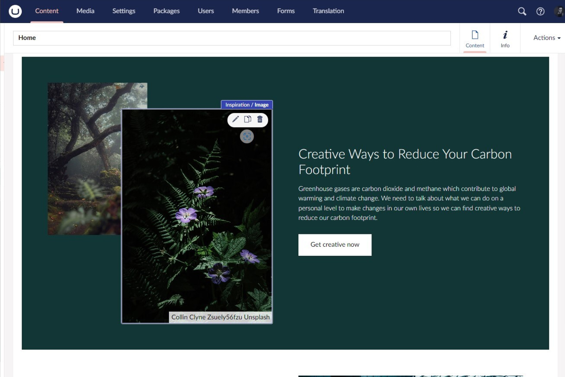 Umbraco CMS