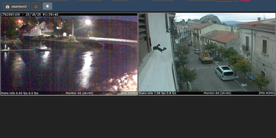 ZoneMinder screenshot thumbnail
